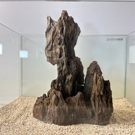 気孔石山（美型） 一点物の水槽オブジェ No. 4947  (45cm水槽)(W約23cm/H約31cm)