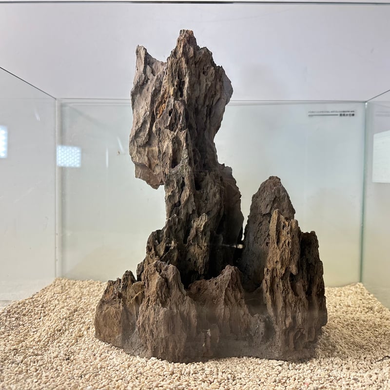 1点物 気孔石アート◆オブジェ アクアリウム　苔リウム　水槽用レイアウト　化石 楽天市場】全3種 1-2cm 20個 溶岩石 気孔石 木化石 青龍石 飾り