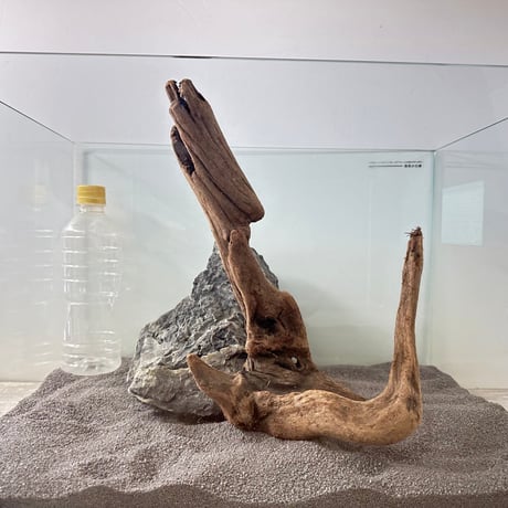 CATEGORY 流木（全種類） | 流木専門店のアクアリバー/アクアリウム