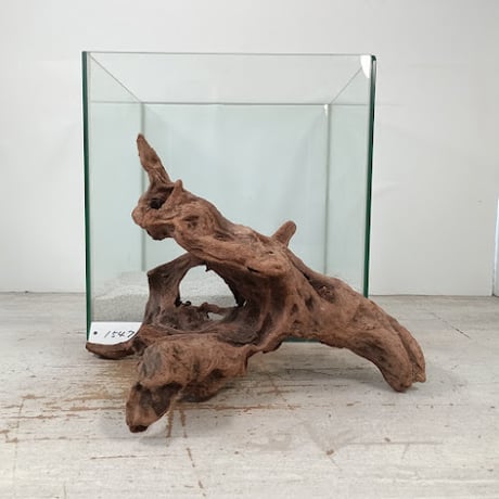 【ハマ流木】 CATEGORY Mサイズ | 流木専門店のアクアリバー/アクアリウム/グリーン