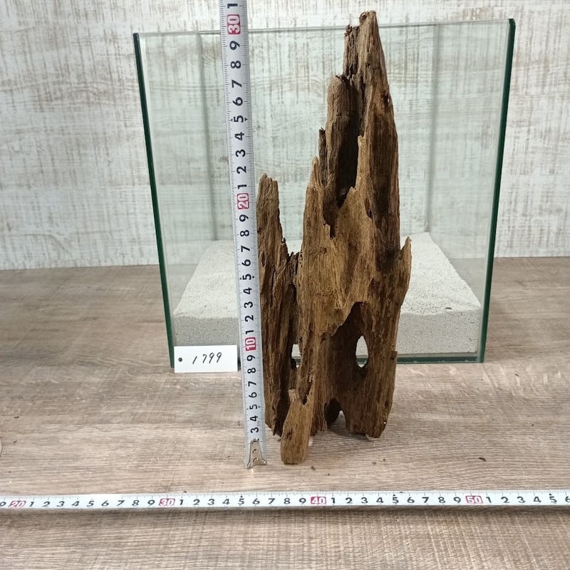 大型流木　完全には沈みません現在半年程度使用　馳物必要！最初画像にて！　流木　現在使用中 大型流木 完全には沈みません現在半年程度使用 馳物必要！最初画像にて