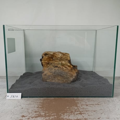 BIG木化石　１点もの　NO.1612（W約18cm/H約19cm)(45cm水槽）