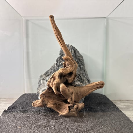 CATEGORY 流木（全種類） | 流木専門店のアクアリバー/アクアリウム