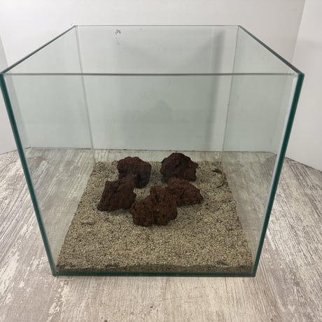 レッド溶岩石Ｓサイズ(約5cm〜10cm)　 ５個セット