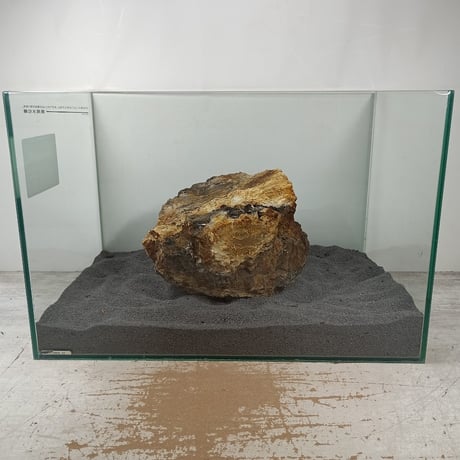 BIG木化石　１点もの　NO.1620（W約20cm/H約16cm)(45cm水槽）