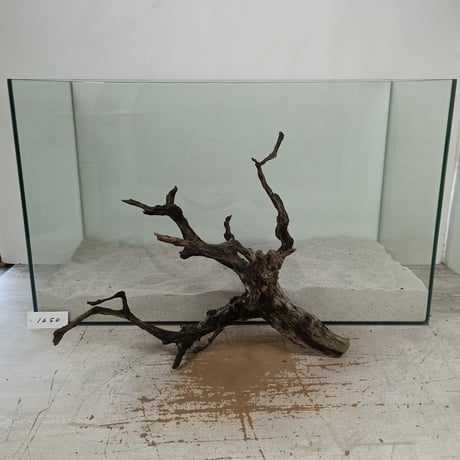 CATEGORY ブラックブランチ | 流木専門店のアクアリバー/アクアリウム