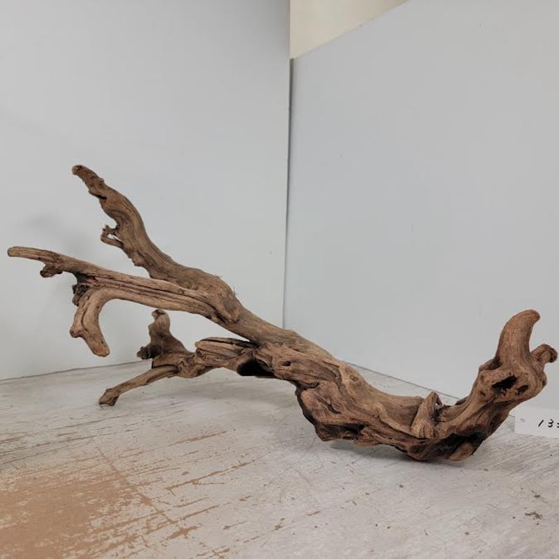 マングローブ系流木 Lサイズ オンリーワン ☆現物撮影 1点 No