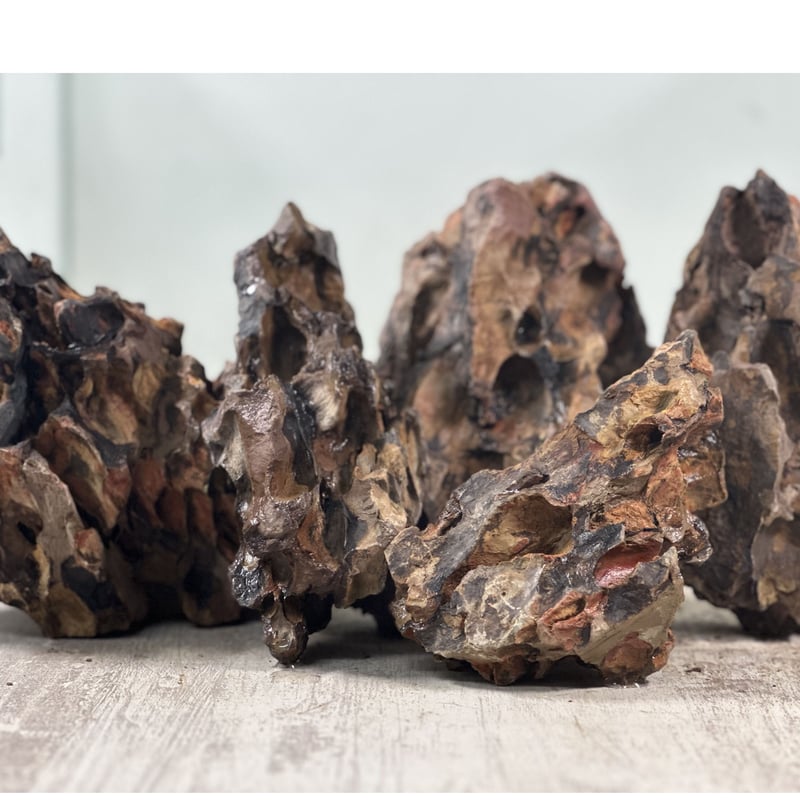 気孔石Mサイズ ６㎏×３セット（合計18kg) | アクアリウム流木販売 ...