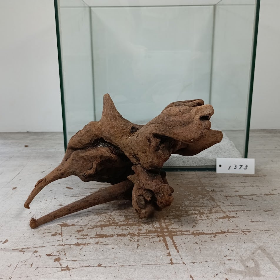 極美型　⭐︎大型マングローブ流木⭐︎ 美マングローブ系流木 Lサイズ オンリーワン ☆現物撮影 1点 No