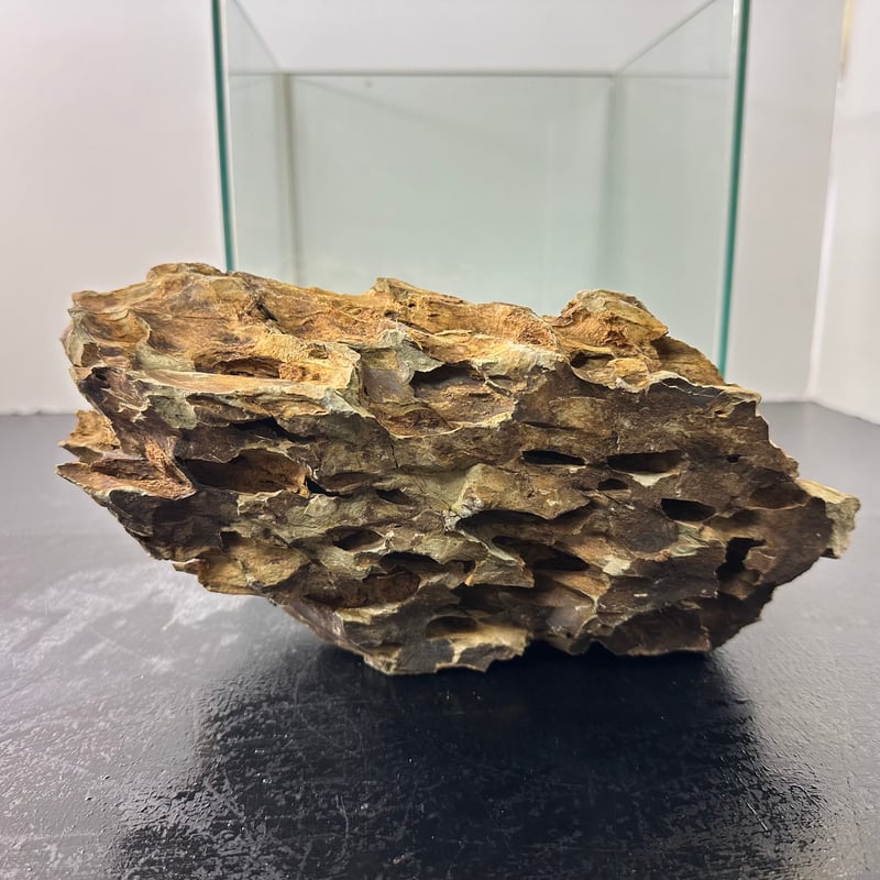 BIG気孔石 1点もの No.5563（W約27cm)(60cm水槽） | 流木専門店の