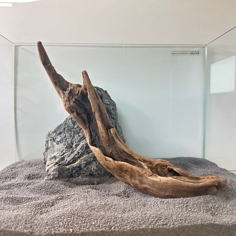 流木オブジェ❤️木工細工 （癒しの流木アレンジメント、多肉植物、水 