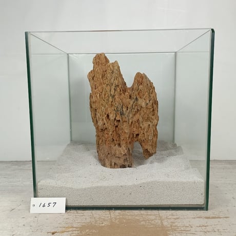 BIG気孔石　１点もの　No.1657（W約27cm)(30cm水槽）