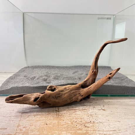 CATEGORY 45cm水槽サイズ | 流木専門店のアクアリバー/アクアリウム