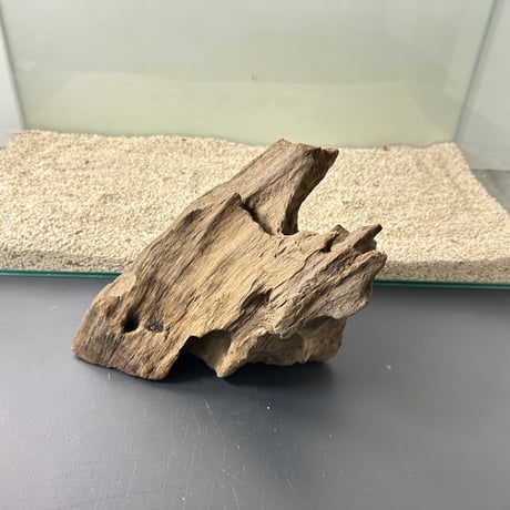 【在庫限定】山型流木  オンリーワン ★現物撮影  1点　No.5006　（約W19cm/23cm)