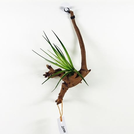 吊り下げ型 | STORES