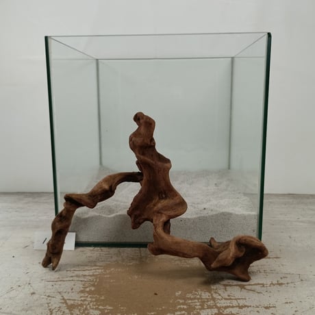 流木専門店のアクアリバー/アクアリウム/グリーンインテリア