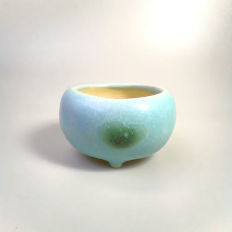 CATEGORY 豆盆栽鉢 植木鉢陶房うさぎ庵 | 流木専門店のアクアリバー