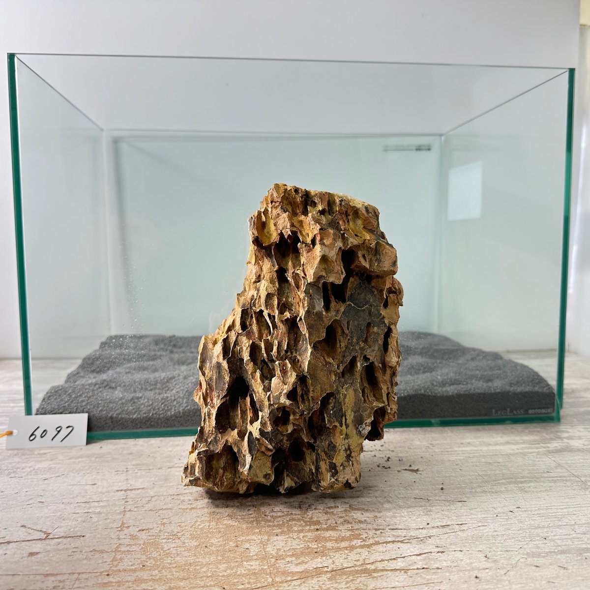 BIG気孔石塊 1点もの No.6097（W約23cm)(45cm水槽） | 流木専門店の