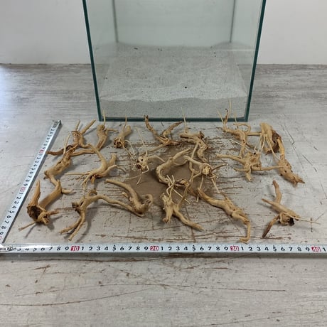 ナチュラルブランチ　SSサイズ　約10㎝　おまかせ20本セット