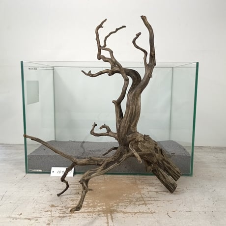 CATEGORY ブランチ系流木 | 流木専門店のアクアリバー/アクアリウム