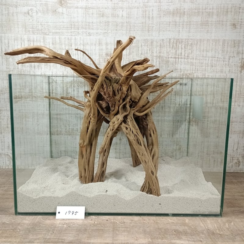 自立する流木 Driftwood 流木 - Download Free 3D model by DIGITALCA ディジタルカ