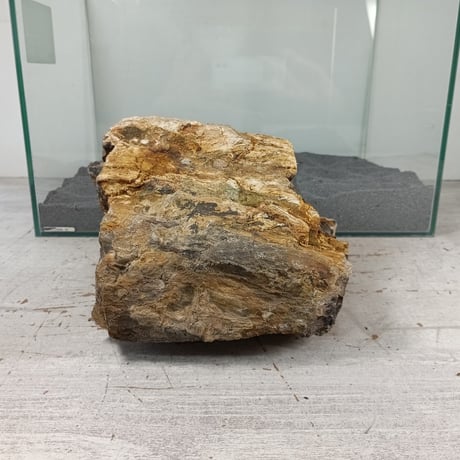 BIG木化石　１点もの　NO.1612（W約18cm/H約19cm)(45cm水槽）