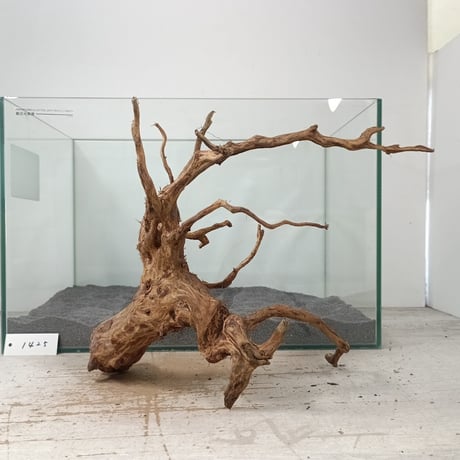 流木　約52㎝ CATEGORY ブランチ系流木 | 流木専門店のアクアリバー/アクアリウム