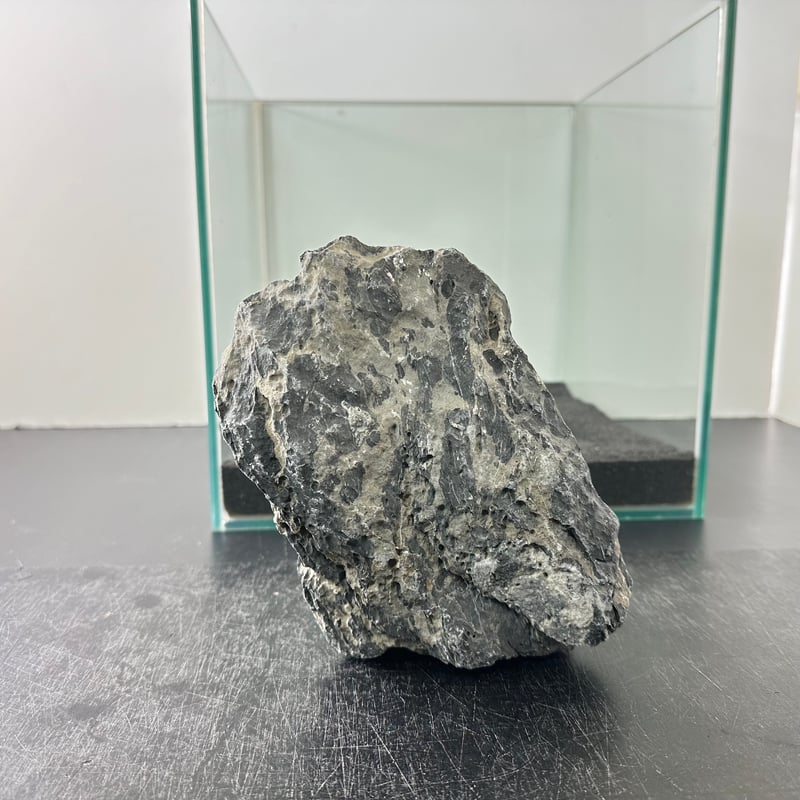 ドラゴンストーン Dragon stone jasper green bracelet /ドラゴンストーンジャスパー