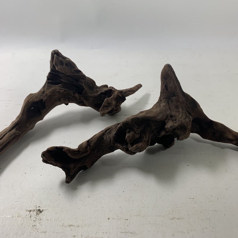 マングローブ系流木 Sサイズ15cm〜25cm おまかせ5本×2セット（合計10本