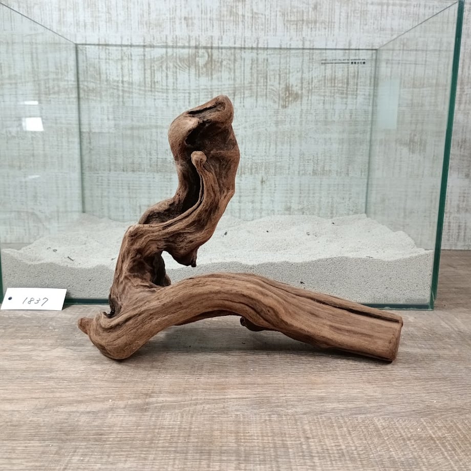 6a06be0563cfc3006c92747e