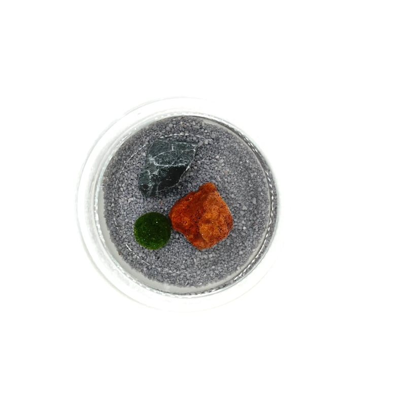 マリモSサイズ単品（1個）（サイズ直径約10mm) | 流木専門店のアクア