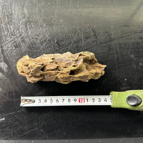 気孔石Sサイズ  おまかせ５Kg（kgあたり596円）（45cm水槽）