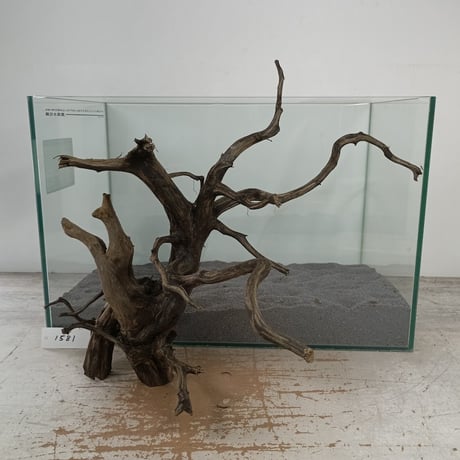 CATEGORY ブランチ系流木 | 流木専門店のアクアリバー/アクアリウム