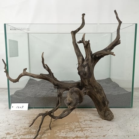 CATEGORY ブランチ系流木 | 流木専門店のアクアリバー/アクアリウム