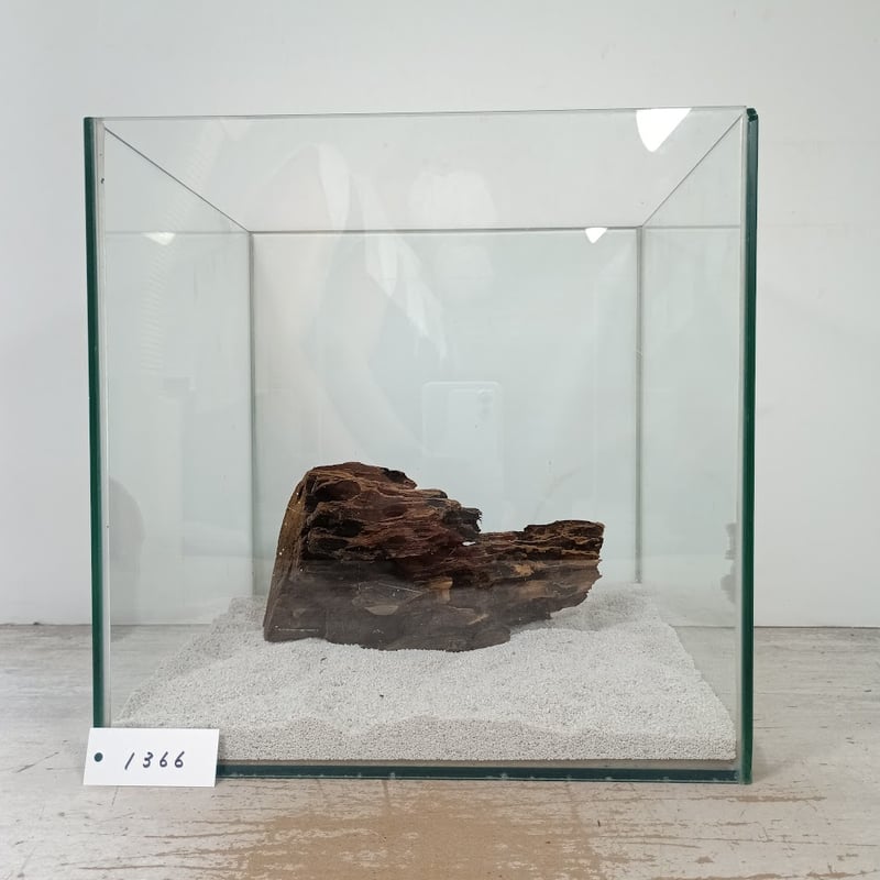 希少山型流木 Mサイズ オンリーワン ☆現物撮影 1点 No.1366(W約20