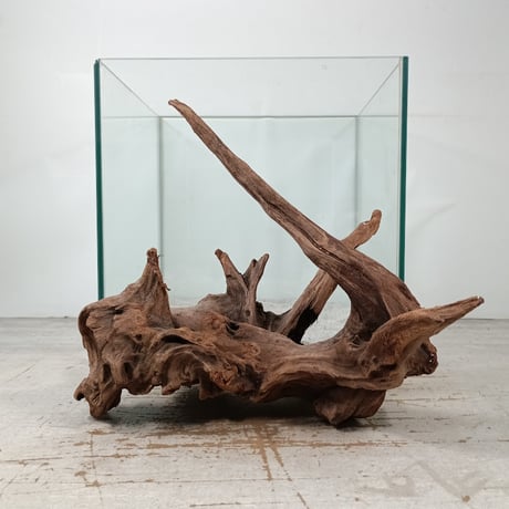 流木専門店のアクアリバー/アクアリウム/グリーンインテリア