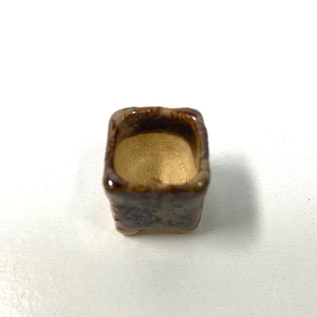 豆盆栽　玉木啓子造   No.14　【サイズ15mm以下】１点もの現物撮影