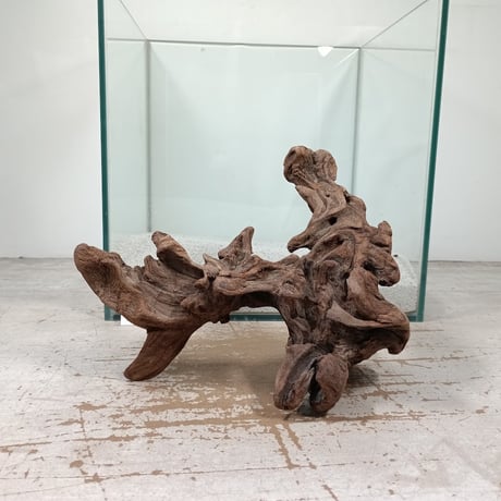 CATEGORY Sサイズ | 流木専門店のアクアリバー/アクアリウム/グリーン