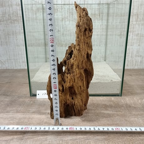 希少山型流木   Mサイズ　オンリーワン ★現物撮影  1点　No.1796(W約27㎝）  ★★オブジェ、インテリアにも★★