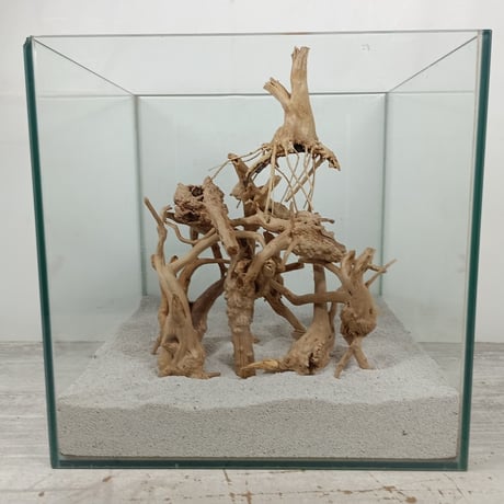 CATEGORY 流木（全種類） | 流木専門店のアクアリバー/アクアリウム