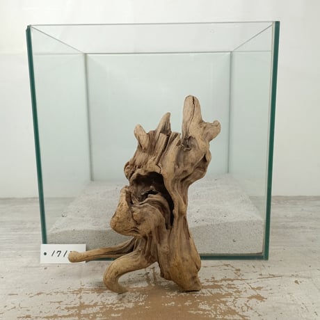 ITEM | 流木専門店のアクアリバー/アクアリウム/グリーンインテリア