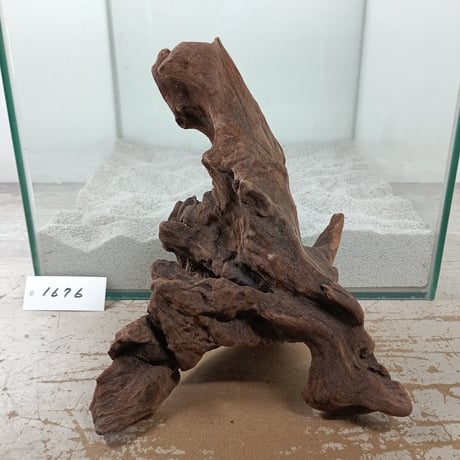 流木専門店のアクアリバー/アクアリウム/グリーンインテリア