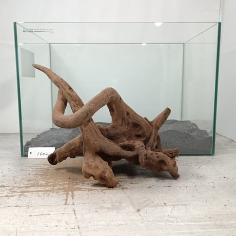 CATEGORY 流木（全種類） | 流木専門店のアクアリバー/アクアリウム