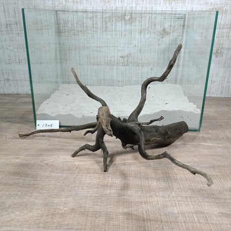 ネシア流木 ブラックタイプ　2Lサイズ　1点ものNo.1925【W約48cm】