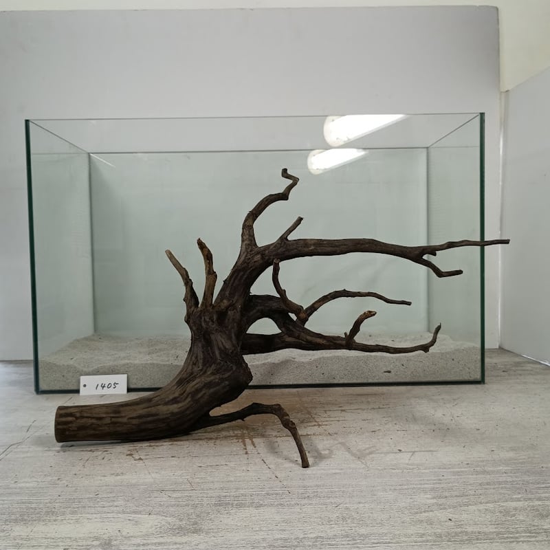 【流木2個セット】手渡し　大型流木 流木(630) 大型流木2点セット アクアリウム テラリウム - メルカリ