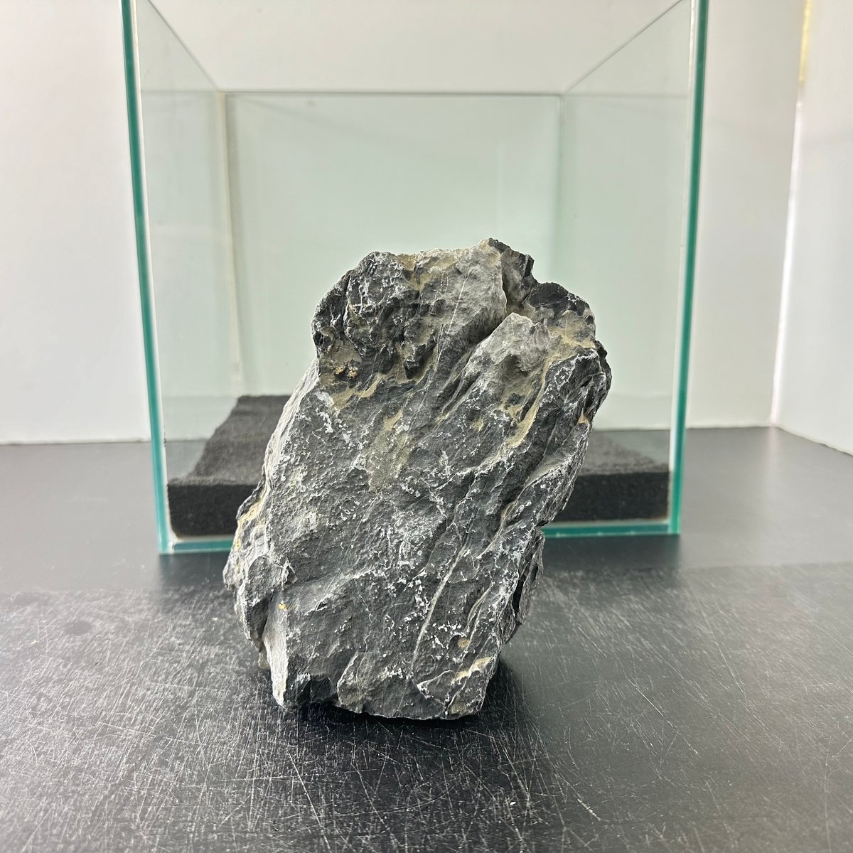 ドラゴンストーン BIGドラゴンストーン 1点もの No.5555（W約18cm) (30cm水槽) | 流木専