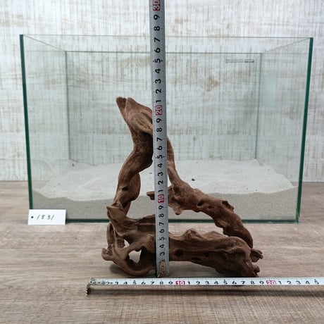 マングローブ系流木.     Mサイズ(W約26cm)・オンリーワン ★現物撮影  1点　No.1831（45cm水槽)