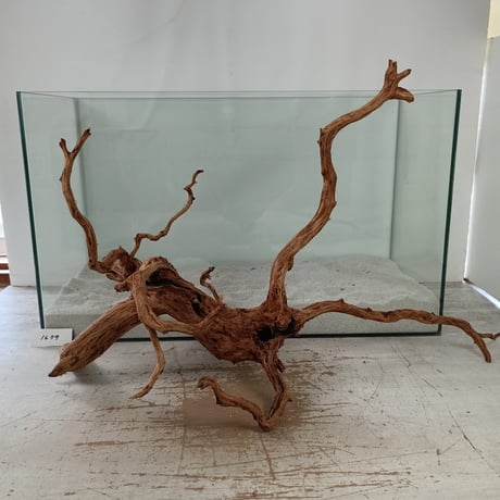 CATEGORY ブランチ系流木 | 流木専門店のアクアリバー/アクアリウム