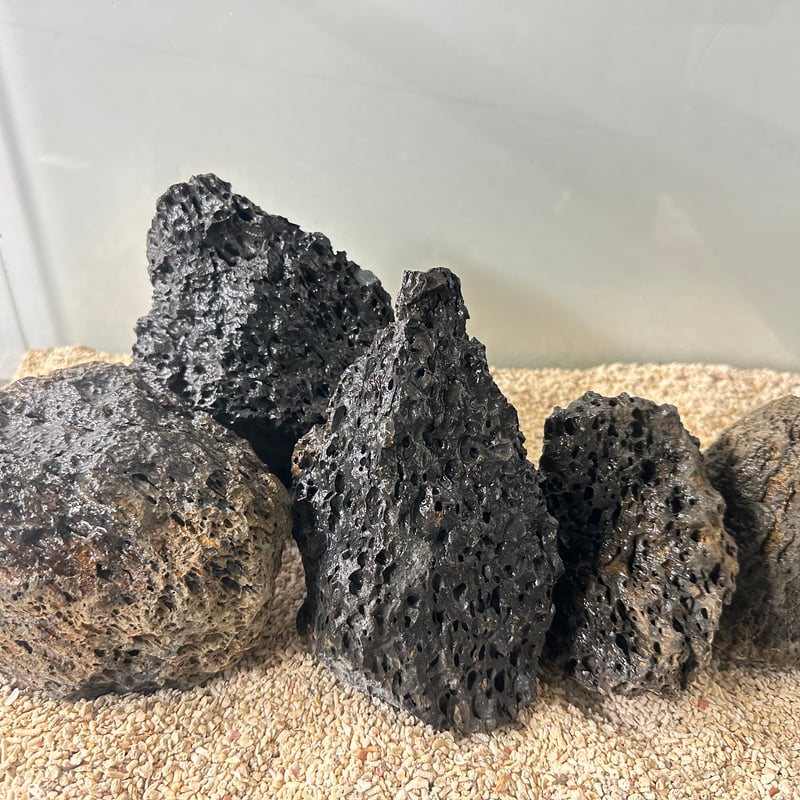 千軒石。火山岩 水石 黒色 円柱形 火成岩の鉱物の種類【全6つ，写真