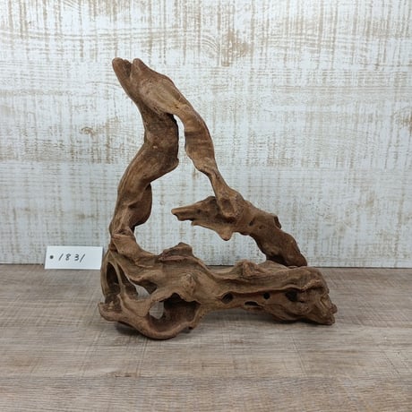 マングローブ系流木.     Mサイズ(W約26cm)・オンリーワン ★現物撮影  1点　No.1831（45cm水槽)
